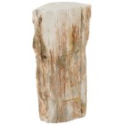 Fossiles Holz teilpoliert 6 kg - 103462400000 - 0 - 140px