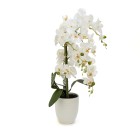 Orchidee im Keramiktopf, 67 cm, weiß - 104601400000 - 0 - 140px