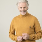 U.S. POLO ASSN. Herren Rollkragenpullover, gelb - 105332600000 - 0 - 140px