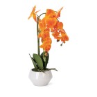 Orchidee 52cm orange, im Keramiktopf - 107830600000 - 0 - 140px