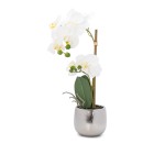 Orchidee im Keramiktopf 48 cm weiß - 109353500000 - 0 - 140px