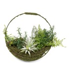 Dekodrahtkranz Ø 35cm mit Sukkulenten - 109430600000 - 0 - 140px