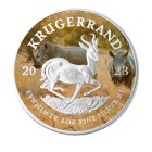 Springbok Big Five Collection - Nashorn 2023 - 109883100000 - 0 - 140px