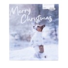 Adventskalender für den Hund - 110359700000 - 0 - 140px