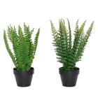 2er Set Farn grün im Topf - 111360300000 - 0 - 140px