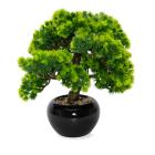 Bonsai Lärche groß - 111361000000 - 0 - 140px