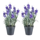 2er Set Lavendel lila - 111361300000 - 0 - 140px