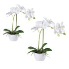 2er Set Orchidee weiß - 111362000000 - 0 - 140px