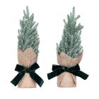Koniferenbäumchen im Jutesack 2er Set - 111572500000 - 0 - 140px