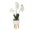 Orchidee 42cm weiß - 111918200000 - 0 - 140px