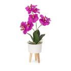 Orchidee 42cm mit Schale lila - 111918400000 - 0 - 140px