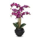 XL-Orchidee 70cm lila - 111918500000 - 0 - 140px