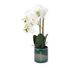 Orchidee  54cm weiß - 111918600000 - 0 - 140px