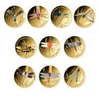 10er Set Wonder World of Dragonflies - 112385300000 - 0 - 140px