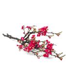 Quittenzweig 75cm cerise Set 2 - 112505000000 - 0 - 140px