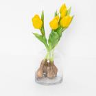Tulpenbund gelb mit Vase 6tlg. - 112509900000 - 0 - 140px