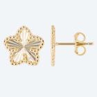 Ohrstecker Gelbgold 585 - 112531100000 - 0 - 140px