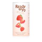 Ready2Yo Früchtetraum Erdbeere 96g - 112599400000 - 0 - 140px