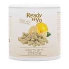 Ready2Yo Fruity Bits Zitrone 300g - 112606900000 - 0 - 140px