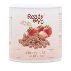 Ready2Yo Fruity Bits Erdbeere 300g - 112607000000 - 0 - 140px