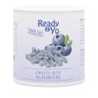 Ready2Yo Fruity Bits Heidelbeere 300g - 112607100000 - 0 - 140px