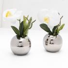 Phalenopsis im Silbertopf 2er - 112626400000 - 0 - 140px