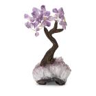 Darimana Amethyst Bäumchen - 112750000000 - 0 - 140px