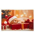 Fußmatte Weihnachtskatze 40x60cm - 112792000000 - 0 - 140px
