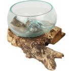 Darimana Glasschale auf Kaffeewurzel - 113077300000 - 0 - 140px