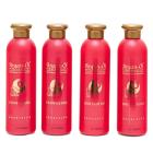  4tlg. ARGAN SET Duschgel + Körpercreme - 113089400000 - 0 - 140px