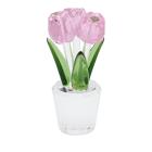 Crystal Dreams Tulpen mit Vase - 113126400000 - 0 - 140px