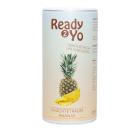 Ready2Yo Früchtetraum Ananas 140g - 113190600000 - 0 - 140px