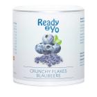 Ready2Yo Crunchy Flakes "Blaubeere" - 113191300000 - 0 - 140px
