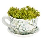 Pflanztasse Eukalyptus - 113210100000 - 0 - 140px