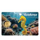Coincard "Seahorse" 1/1000 oz. Feingold - 113277500000 - 0 - 140px