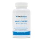 docplum.health Bauchspeicheldrüse - 113340800000 - 0 - 140px