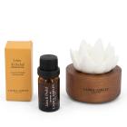 Duftblume mit Öl - 113409600000 - 0 - 140px