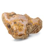 Fossile Koralle - 113421700000 - 0 - 140px