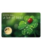 Coincard "A little Bug" 1/1000 oz. Feingold - 113430400000 - 0 - 140px