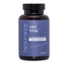 hyaluronce Leber Vital mit Mariendistel Cholin 120 - 113432300000 - 0 - 140px