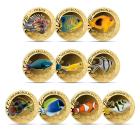 10er Set "The Most Interesting Coral Fish" - 113486300000 - 0 - 140px