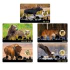 5er Set Coincards "Big Five of America" - 113486800000 - 0 - 140px