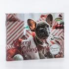 Adventskalender Hund, Premium - 113559500000 - 0 - 140px