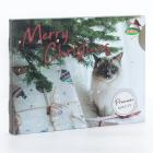 Adventskalender Katze, Premium - 113559600000 - 0 - 140px