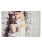 3D-Fußmatte Kuschelkatze - 113575800000 - 0 - 140px