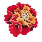 3D-Teppich in Blütenform 100cm - 113576700000 - 0 - 140px