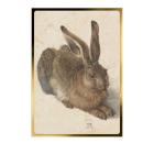 Shape-Barren "Albrecht Dürer Feldhase" 1/500 oz - 113610000000 - 0 - 140px