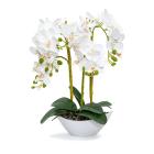 Beleuchtete Orchidee 45cm Real-Touch - 113635600000 - 0 - 140px