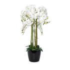 XXL-Orchidee weiß 110cm - 113636000000 - 0 - 140px