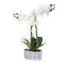 Orchidee mit LED-Beleuchtung weiß - 113701400000 - 0 - 140px